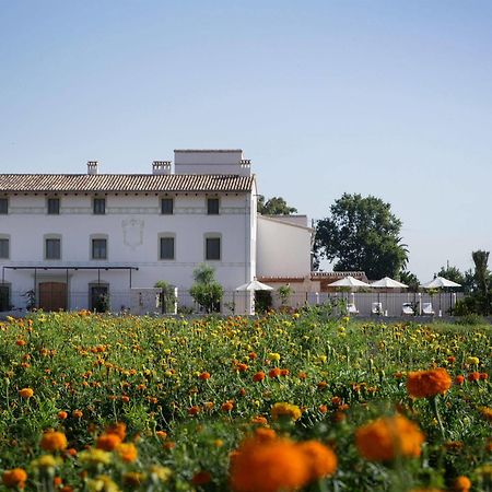 La Mozaira Hotel Alboraia Exterior photo